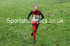 Boys under-13s, NECAA Junior Cross Country Relays, Thornley Farm, Peterlee, Saturday, December 12th. Photo: David T. Hewitson/Sports for All Pics